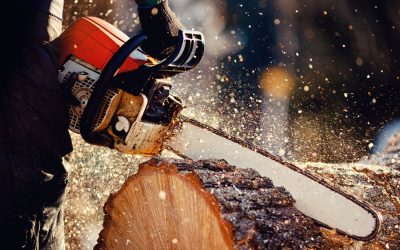 Tree Service Provider