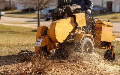 Stump Grinding Tips – Amazing Stump Grinding Tips And Techniques